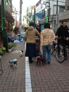 osanpo.JPG